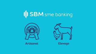 Banking for SME Business [upl. by Felizio]