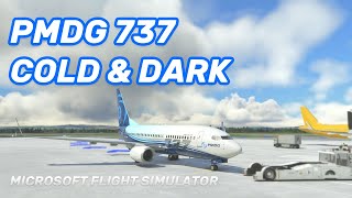 PMDG 737 MSFS  Easy Cold amp Dark Start Tutorial [upl. by Nedearb]