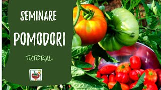 Seminare i pomodori ecco come e quando Tutorial completo [upl. by Farant]