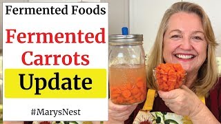 How to Make Fermented Carrots  Update [upl. by Khalsa]