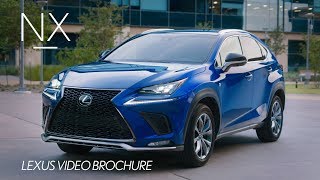 The 2019 Lexus NX Walk Around Video [upl. by Desiree]