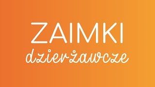 4 ZAIMKI DZIERŻAWCZE  hiszpańska gramatyka [upl. by Annovoj119]