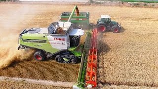 Mähdrescher CLAAS LEXION 780 Terra Trac Fendt Weizenernte biggest combine harvester wheat harvest [upl. by Dempsey]