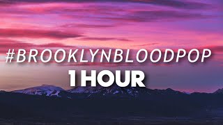 Syko  BrooklynBloodPop 1 HOUR [upl. by Neelloc339]