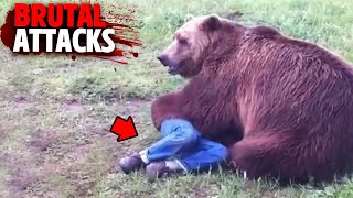 The Most HORRIFYING Bear Attacks MARATHON [upl. by Myrta]