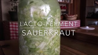 How To Make Your Own LactoFermented Sauerkraut [upl. by Meares508]