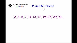 Prime Numbers  Primary [upl. by Rimola]