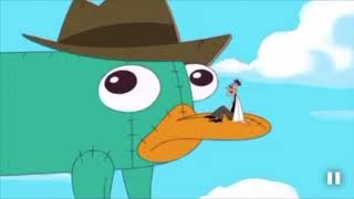 The Best quotA Platypus PERRY THE PLATYPUSquot Compilation [upl. by Narod510]