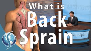 What is a Back Sprain [upl. by Relyt511]