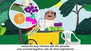 How Chagas disease is transmitted [upl. by Jaquelin]