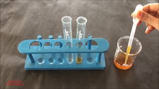 Phytochemical Test for Tannins English  Tannins Identification Test  Tannins Phytochemical Test [upl. by Bicknell]