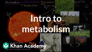 Introduction to metabolism anabolism and catabolism  Khan Academy [upl. by Ennasil]