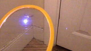 Electric Fly Swatter Battle Executioner vs ZapIt vs Elucto  Bug Zapper Review [upl. by Jago365]