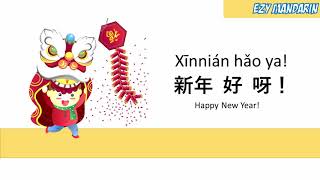 Xinnian Hao Ya  Happy New Year Mandarin Chinese Kid Song [upl. by Adihahs375]