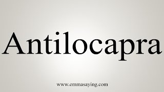 How To Say Antilocapra [upl. by Ellenyl395]