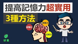 提高記憶力超實用的3個方法！ [upl. by Eleazar]