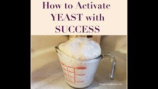 How to Activate Yeast with Success [upl. by Ignatia969]