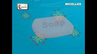 Soap Micelles Formation  Science [upl. by Florri259]