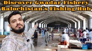 Inside Gwadar Fishery  Exploring Balochistan’s Fishing Industry [upl. by Fogel]