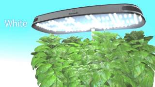 How the AeroGarden Works [upl. by Harv]