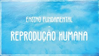 8º ANO  REPRODUÇÃO HUMANA [upl. by Dry]