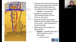 USMLE Step 1  Renal Physiology High Yield BRS Concepts [upl. by Ahsita]