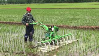 paddy field mechanical weeding machine [upl. by Alyag]