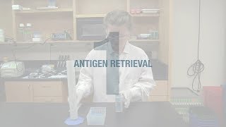 Better IHC Step 1 Antigen Retrieval [upl. by Alyam393]