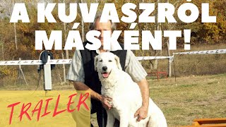 A KUVASZ Másként Beszélgetés Pischoff Ferenccel Előzetes [upl. by Kooima]