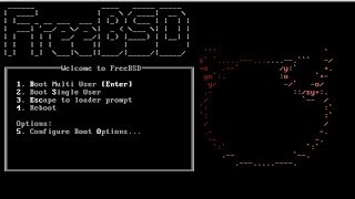 How to Install FreeBSD 111 on VMware Workstation  FreeBSD 111 Tutorial amp Review [upl. by Herrington]