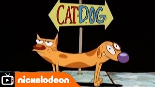 CatDog  Theme Tune with Lyrics  Nickelodeon UK [upl. by Levison]