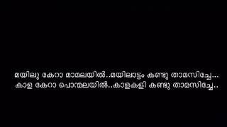 പറ പറ കഥ പറ quotpara para” lyrics malayalam song kammattipadam movie [upl. by Lusar814]