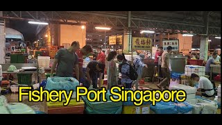 Fishery Port Singapore  Jurong Fishery Port Singapore [upl. by Kcirrek]