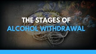 The Stages of Alcohol Withdrawal [upl. by Benedikt]