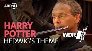 Harry Potter  Hedwig’s Theme  John Williams  WDR Funkhausorchester [upl. by Devlin1]