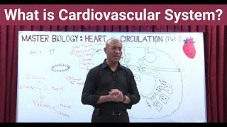 What is Cardiovascular System  Circulatory System  Biology  NEET  GCSE [upl. by Chlores]