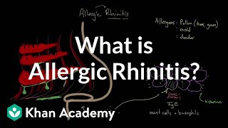 What is allergic rhinitis  Respiratory system diseases  NCLEXRN  Khan Academy [upl. by Nylkoorb83]