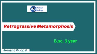 Retrogressive Metamorphosis  Urochordata  zoology  Mudgalbiology [upl. by Saduj]