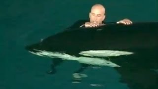 Caught on tape Whale nearly drowns SeaWorld trainer [upl. by Enelam]