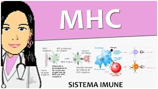 Imunologia 07  MHC Complexo Principal de Histocompatibilidade  Vídeoaula [upl. by Ahsinawt686]