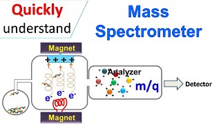 Mass spectrometry [upl. by Aryaz185]