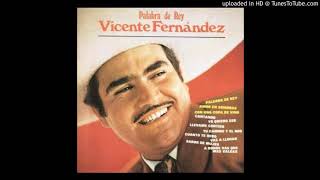 Yo Quiero Ser  Vicente Fernandez [upl. by Anilam1]