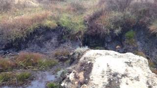 Source of the River Derwent North Yorkshire [upl. by Teerpnam125]