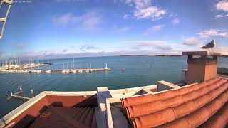 Chioggia Laguna Livestreaming HD [upl. by Ettedualc]