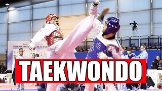 TAEKWONDO  LES PLUS BELLES ACTIONS [upl. by Hait]