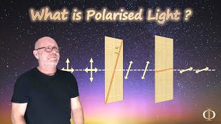 What is Polarised Light Polarisation Part 1  Waves  Physics [upl. by Barrada655]