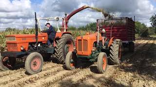 🌽Ensilage a l’ancienne à Ouville  Manche [upl. by Yenrab362]