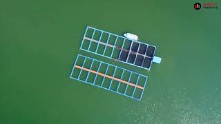 Aquaculture 20  Revolutionizing Fish Farming [upl. by Lyred]