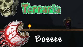 Terraria 14  The Guide to ALL Bosses [upl. by Ihcego]