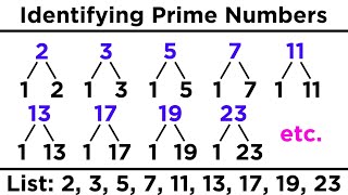 Divisibility Prime Numbers and Prime Factorization [upl. by Rothwell]